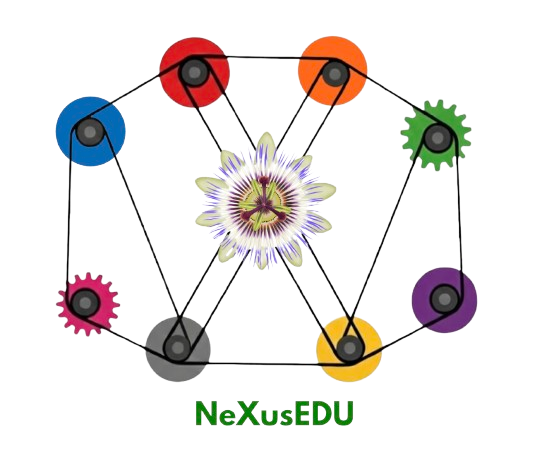 NeXusEDU