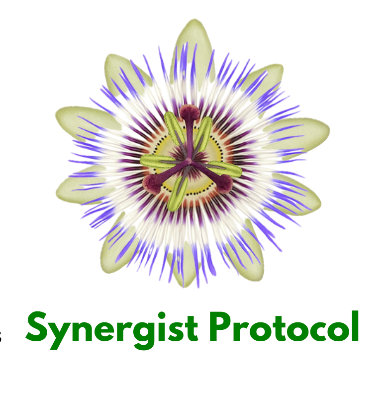 Synergist Protocol